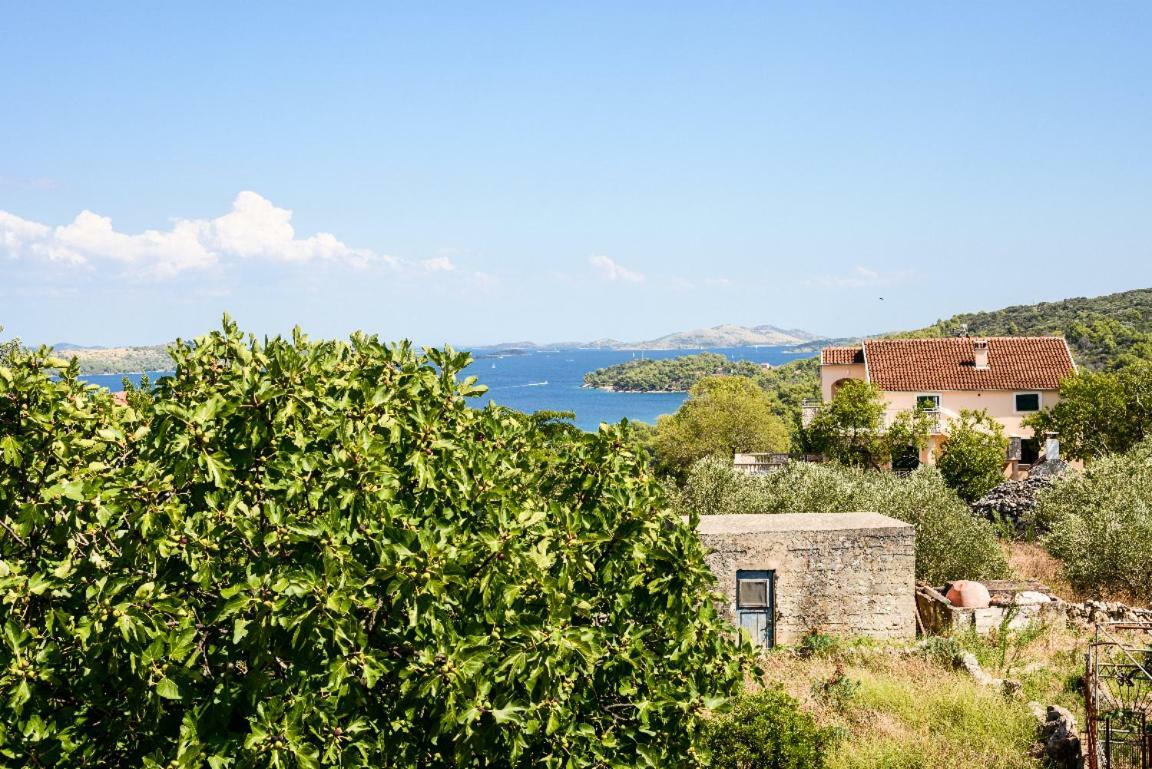 Apartment Lordanic Zaglav, Dugi Otok Zewnętrze zdjęcie